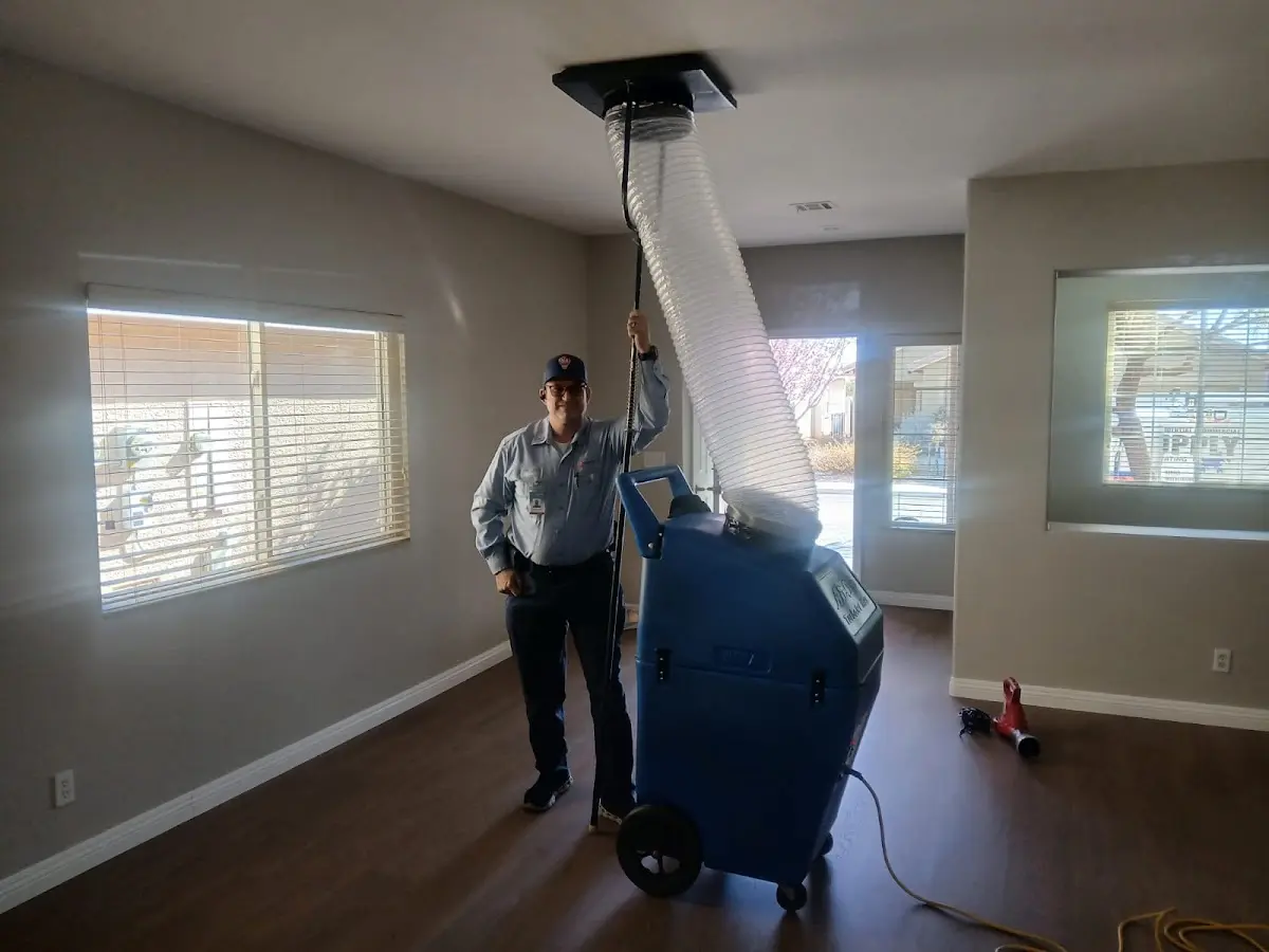 Professional Dryer Vent Cleaning work inside a Freehold home